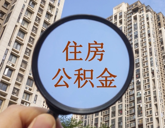 新安退休后查不到公积金明细了吗（退休后公积金查询不到原因）